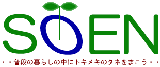 ��炵�̒��Ƀg�L���L�̃^�l���܂����@�r�n�d�m